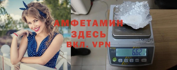 сатива Осташков