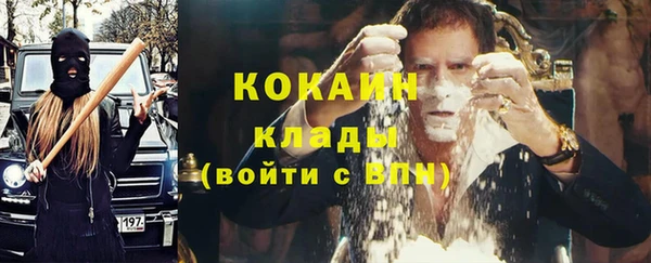 гидра Абаза