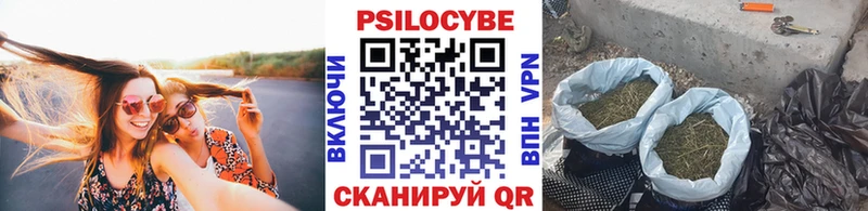 OMG ТОР  Александровск-Сахалинский  Галлюциногенные грибы Psilocybine cubensis 